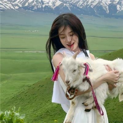 兔子的月亮