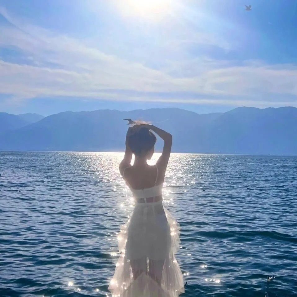海豚奇迹